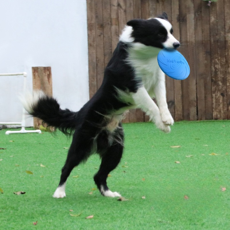 Frisbee Freestyle Disc - فريسبي للكلاب، فريسبي خاص للحيوانات الأليفة