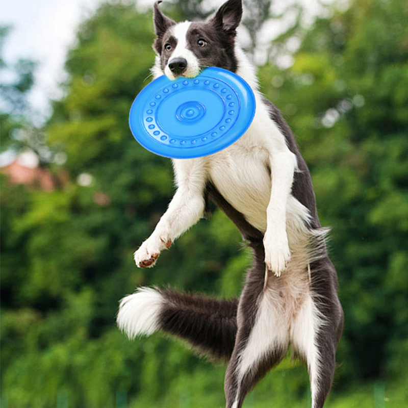 Frisbee Freestyle Disc - لعبة فريسبي متينة قابلة للمضغ لتدريب
