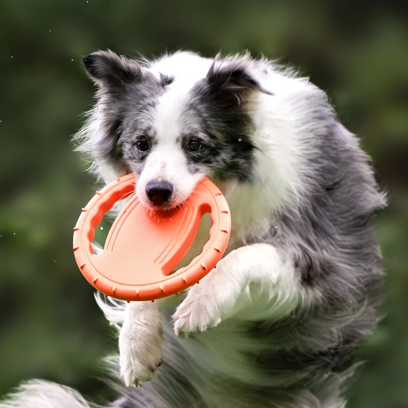 Frisbee Freestyle Disc - لعبة طبق طائر متينة للكلاب، فريزيبي